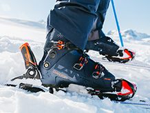 Topánky Alpina