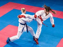 Ochránci na karate