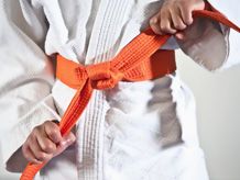 Pásy karate
