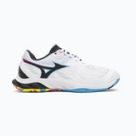 Bedminton Mizuno