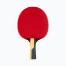 Stolný tenis