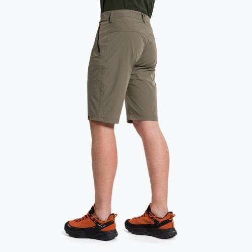Salewa pánske turistické šortky Talveno DST brown 00-0000027064