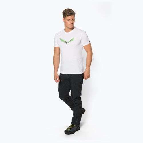 Pánske trekingové tričko Salewa Lines Graphic Dry white 00-0000028065