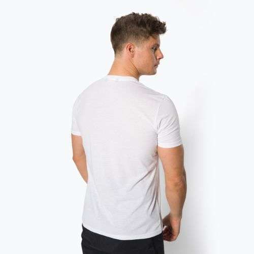 Pánske trekingové tričko Salewa Lines Graphic Dry white 00-0000028065