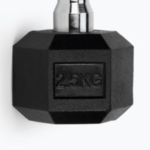 Pogumovaná činka TREXO Hex HXD25 2,5 kg
