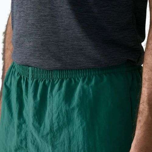 Pánske šortky Patagonia Baggies 5" 95 oval logo/gem green