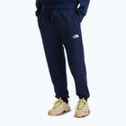 Pánske trekingové nohavice The North Face Simple Dome Light Regular Tapered Jogger summit navy