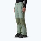 Damske lyžiarske nohavice The North Face Lenado Regular slate moss/bark mist