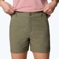Dámske trekingové šortky Columbia Leslie Falls Short II stone green 5