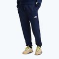 Pánske trekingové nohavice The North Face Simple Dome Light Regular Tapered Jogger summit navy