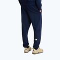 Pánske trekingové nohavice The North Face Simple Dome Light Regular Tapered Jogger summit navy 3