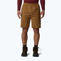 Pánske šortky The North Face Limestone utility brown