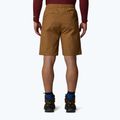 Pánske šortky The North Face Limestone utility brown 3