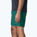 Pánske šortky Patagonia Baggies 5" 95 oval logo/gem green 5