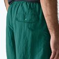 Pánske šortky Patagonia Baggies 5" 95 oval logo/gem green 7