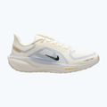 Pánske bežecké topánky Nike Pegasus 41 GTX sail/football grey/sundial/ashen slate 8