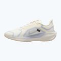 Pánske bežecké topánky Nike Pegasus 41 GTX sail/football grey/sundial/ashen slate 9