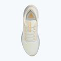 Pánske bežecké topánky Nike Pegasus 41 GTX sail/football grey/sundial/ashen slate 10