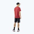 Pánske trekingové šortky DYNAFIT Transalper Light Dynastretch black out/0730 3