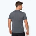 Pánske trekingové tričko Salewa Pedroc 3 Dry grey 00-0000027725 3