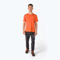 Pánske trekingové tričko Salewa Alpine Hemp Logo orange 00-0000028132 2
