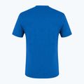 Pánske trekingové tričko Salewa Alpine Hemp Logo blue 00-0000028132 5