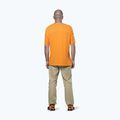 Pánske trekové tričko Salewa Agner Hemp/Dst turmeric 3