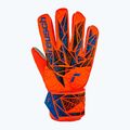 Reusch Attrakt Starter Grip brankárske rukavice hyper orng/elec blue 2