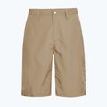 Pánske trekingové šortky Jack Wolfskin Duneland hazel wood 8