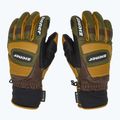 Pánske lyžiarske rukavice ZIENER Guard GTX + Gore Grip PR alpine dark/brown 4