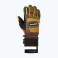 Pánske lyžiarske rukavice ZIENER Guard GTX + Gore Grip PR alpine dark/brown 8