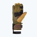 Pánske lyžiarske rukavice ZIENER Guard GTX + Gore Grip PR alpine dark/brown 9