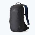 Batoh Gregory Kiro 20 l RC turistický alpská čierna
