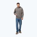 Pánska mikina Pitbull Sampson Hooded Sweatshirt taupe 2
