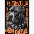 Pánska mikina Pitbull Blacky Hooded black 7