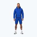 Pánska mikina Pitbull Dogwood Hooded Sweatshirt imperial blue 2