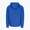 Pánska mikina Pitbull Dogwood Hooded Sweatshirt imperial blue 5