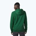 Pánska trekingová mikina Helly Hansen F2F Organic Cotton Hoodie malachite 2