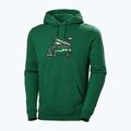 Pánska trekingová mikina Helly Hansen F2F Organic Cotton Hoodie malachite 4