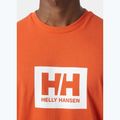 Pánske tričko  Helly Hansen HH Box flame 3