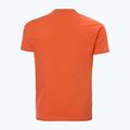 Pánske tričko  Helly Hansen HH Box flame 5