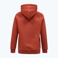 Pánska mikina Peak Performance Original Hood spiced 3