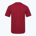 Pánske tričko Aeronautica Militare Essential burgundy 2