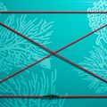 SUP ABSTRACT Coral 10'6'' topaz doska 3