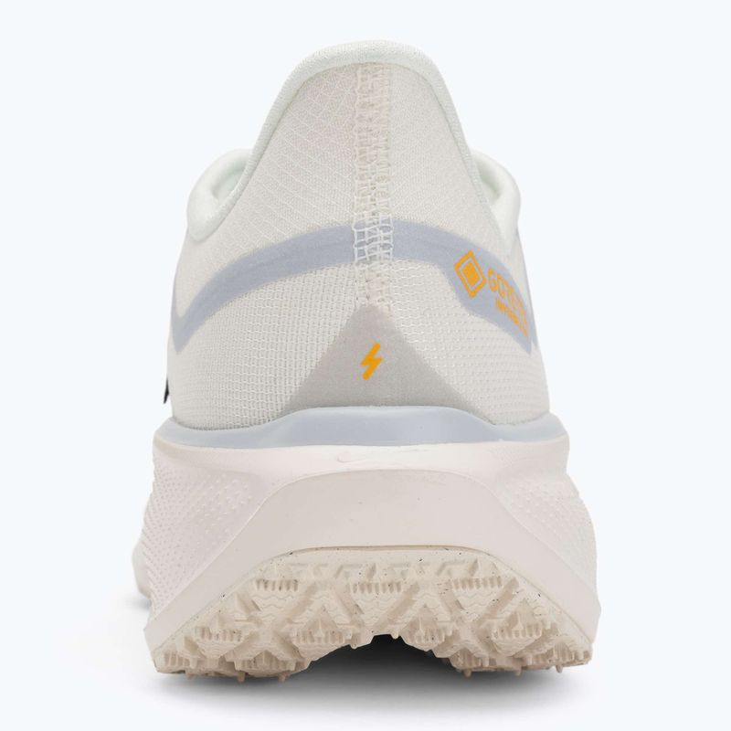 Pánske bežecké topánky Nike Pegasus 41 GTX sail/football grey/sundial/ashen slate 6