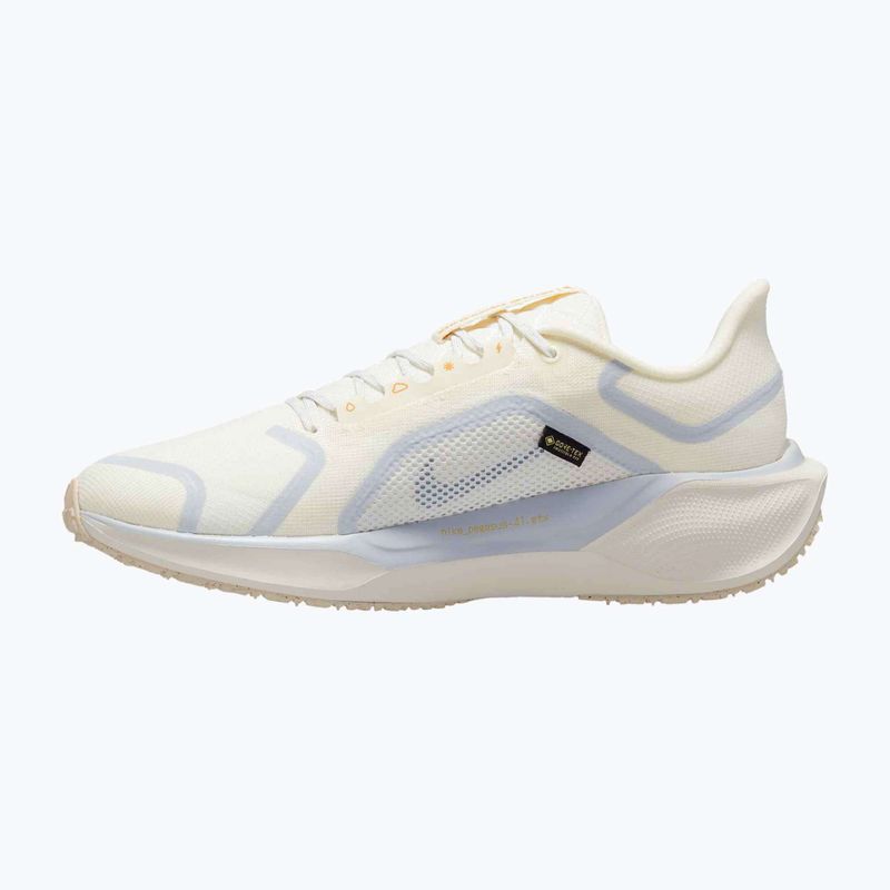 Pánske bežecké topánky Nike Pegasus 41 GTX sail/football grey/sundial/ashen slate 9