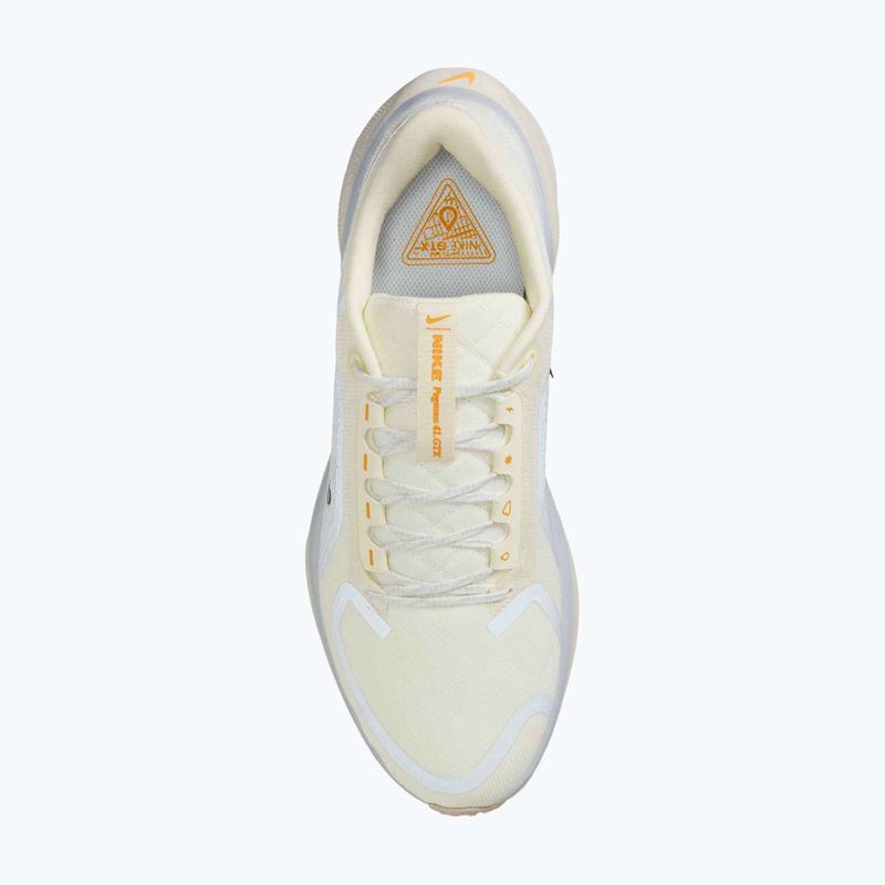 Pánske bežecké topánky Nike Pegasus 41 GTX sail/football grey/sundial/ashen slate 10