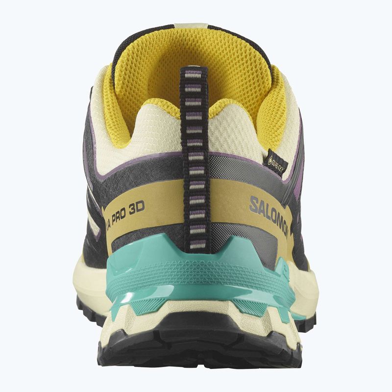 Dámske bežecké topánky Salomon XA PRO 3D V9 GTX transparent yellow/black/waterfall 10