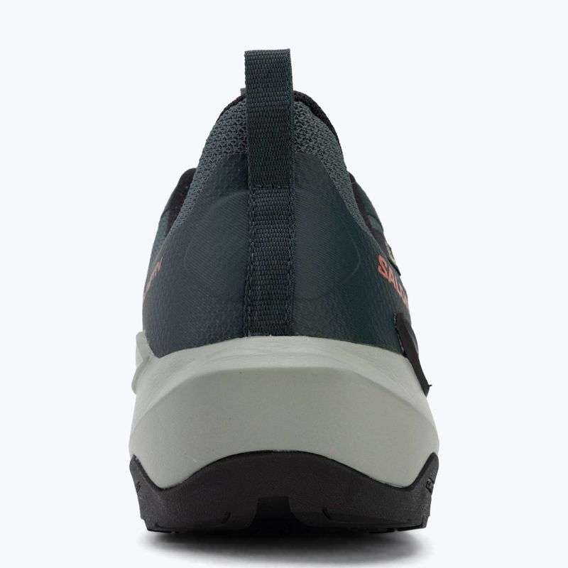 Pánske turistické topánky Salomon Elixir Activ GTX scarab/green gable 6