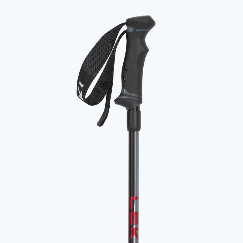 Lyžiarske palice LEKI Hot Shot anodized black/eloxal gray/eloxal red 2